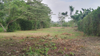 Terreno con una tranquilidad perfecta y alta plus valía