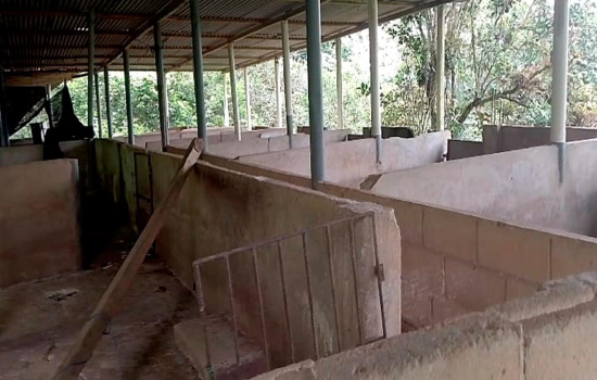 Parroquia Rural Saracay, El Oro, 0 , 0 ,0,Finca agrícola,En Venta,0,1069