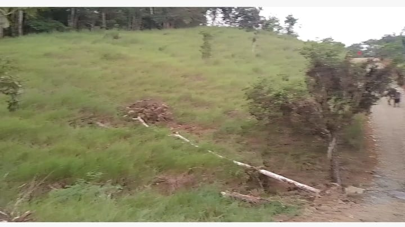 Permite poder sembrar cualquier cultivo