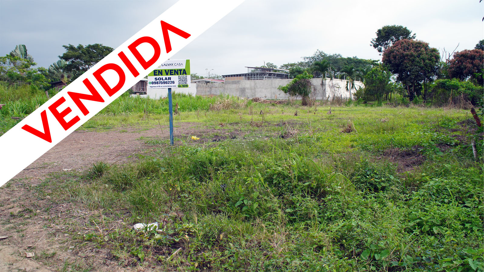 Parroquia Rural Bellavista, El Oro, 0 , 0 ,0,Solar,En Venta,1079 Parroquia Rural Bellavista, El Oro, 0 , 0 ,0,Solar,En Venta,1079