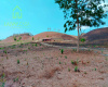 Parroquia Rural Palmales, El Oro, 0 , 0 ,0,Terreno agrícola,En Venta,1088 Parroquia Rural Palmales, El Oro, 0 , 0 ,0,Terreno agrícola,En Venta,1088