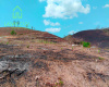 Parroquia Rural Palmales, El Oro, 0 , 0 ,0,Terreno agrícola,En Venta,1088 Parroquia Rural Palmales, El Oro, 0 , 0 ,0,Terreno agrícola,En Venta,1088